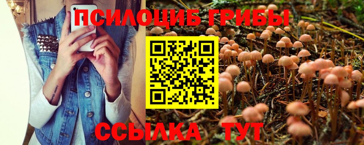 Псилоцибиновые грибы GOLDEN TEACHER Сарапул