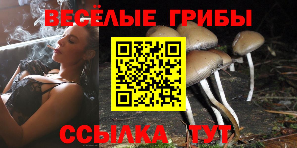Псилоцибиновые грибы Psilocybine cubensis  Вход с VPN  Псилоцибиновые грибы Psilocybine cubensis  Сарапул 